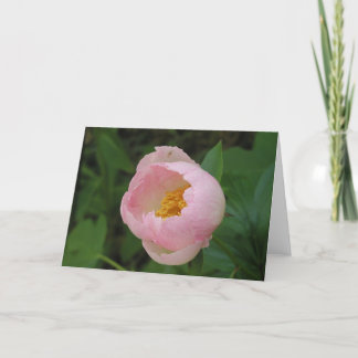 Carte Peony