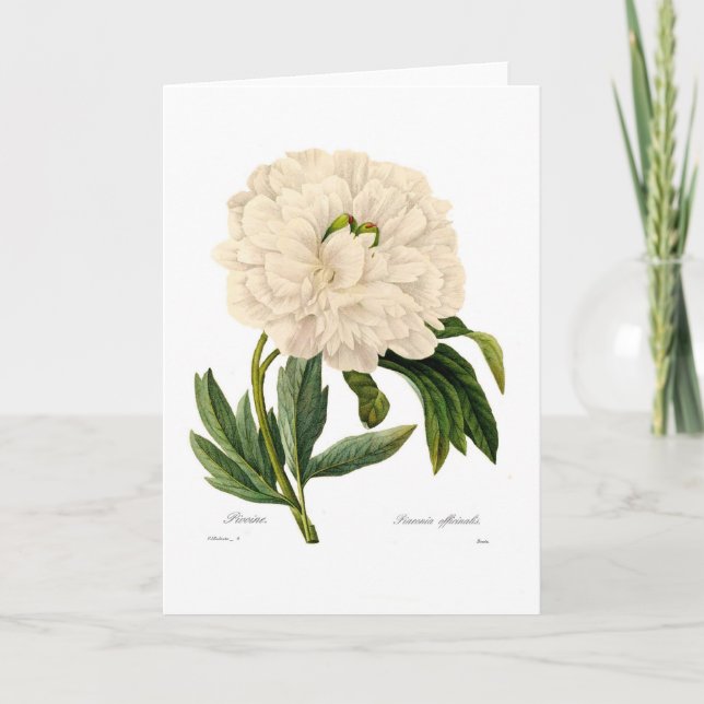 Carte Peony (Devant)