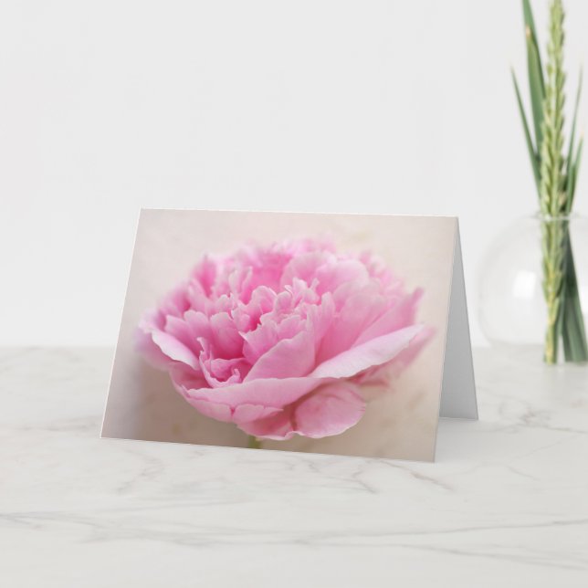 Carte Peony closeup anniversaire (Devant)