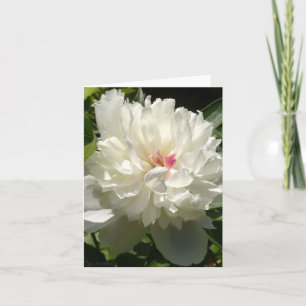 Carte Peony Garden