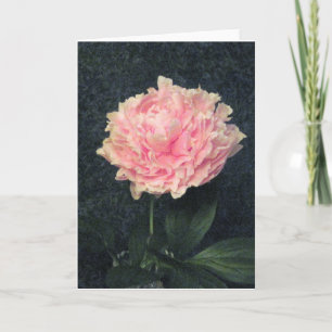 Carte Peony rose