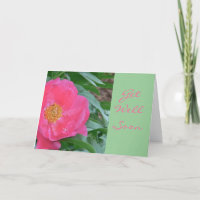 "PEONY ROSE-CANDY/BIEN SE METTRE BIENTÔT"