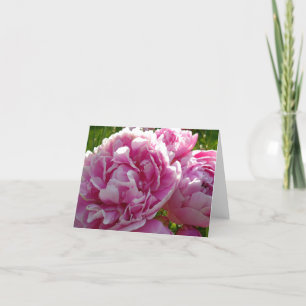 Carte Peony rose   gîte ferme jardin fleuri