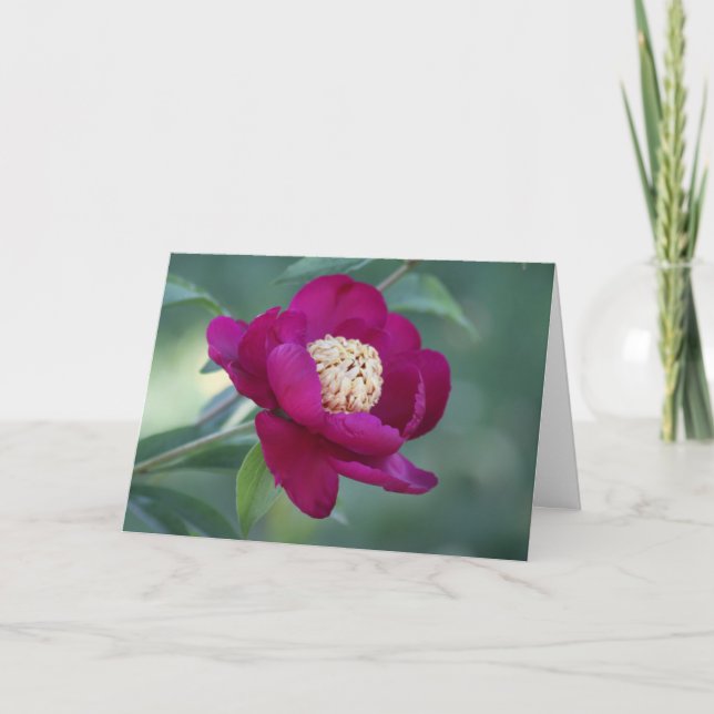 Carte Peony "Sword Dance" (Devant)