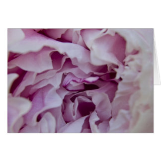 Carte Peony violet