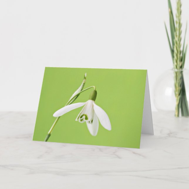 Carte Perce-neige (Devant)