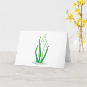 Carte Perce-neige (Galanthus nivalis) Fleurs de début de