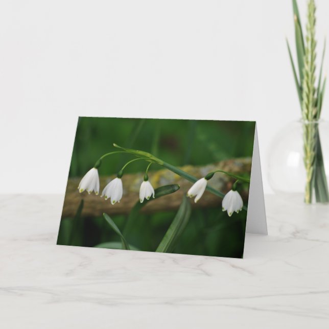 Carte Perce-neiges (Devant)