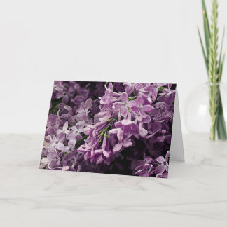 Carte Perdu à Lilac