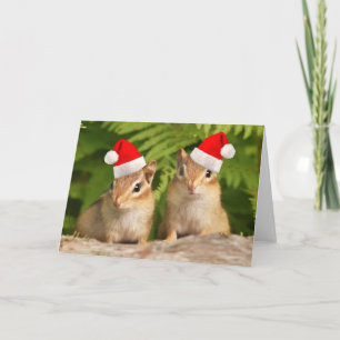 Carte père Noël Baby Chipmunks