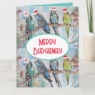 Carte Père Noël Budgie Noël aquarelle peinture oiseau