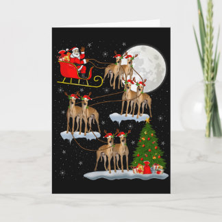 Carte Père Noël Chien de Saint-Hubert Traîneau Volant Dr