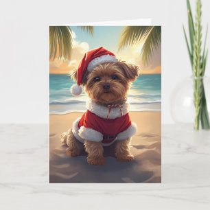 Carte Père Noël Paws prend la plage - Shih Tzu Noël