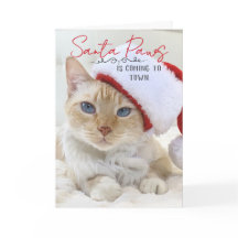 Père Noël Paws Vient À Noël