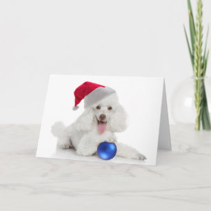 Carte père Noël Poodle