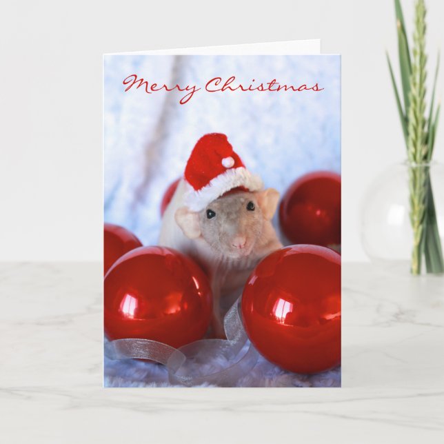 Carte père Noël Rattie (Devant)