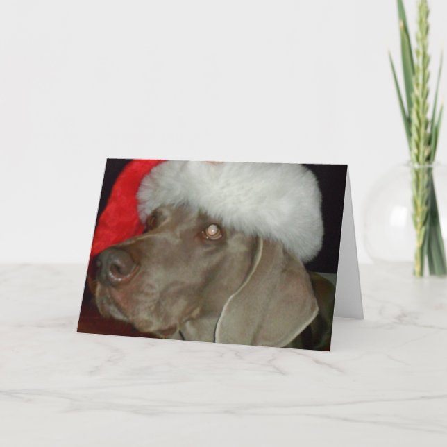 Carte Père Noël Weimaraner (Devant)