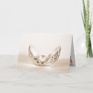 Carte perle d'anniversaire dans une coquille d'huitre