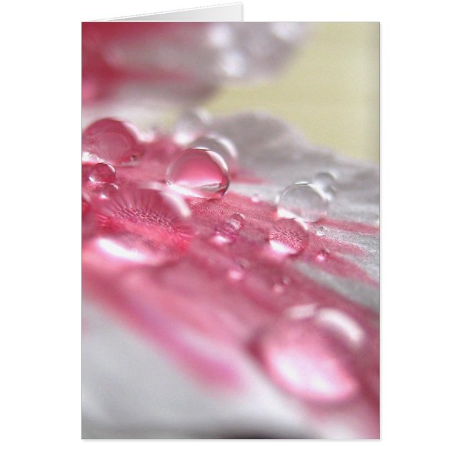 Carte Perles (Devant)