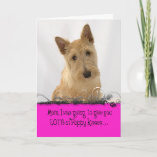 Carte Permis de Licker du jour de mère d'Annie