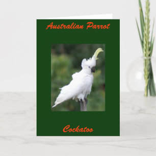 Carte Perroquet australien, Cockatoo