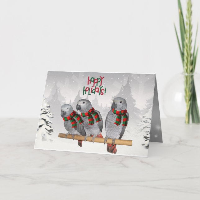 Carte Perroquet Gris Africain Bébé Noël (Devant)
