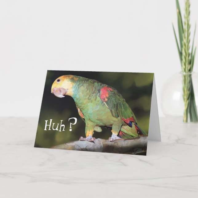 Carte Perroquet, hein? (Devant)