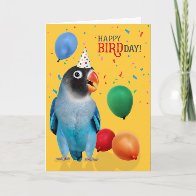 Carte Perroquet Perruche Bleue Drôle Anniversaire (Devant)