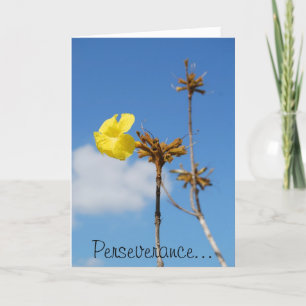 Carte Persévérance