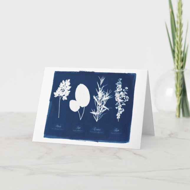 Carte Persil blanc sage de Rosemary et de thym (Devant)