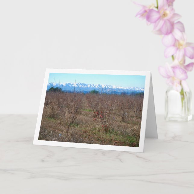 Carte Persimmon Fruit Field et Snowy Mountains (Orchidée)