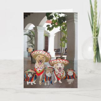 Carte Personnalisable Cinco de Mayo
