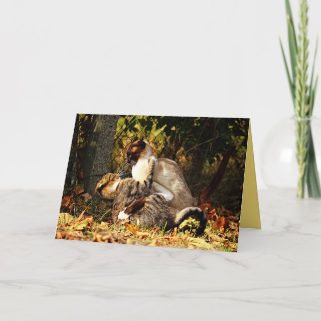 Carte personnalisable de chat siamois mignon (Devant)