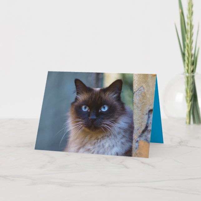 Carte personnalisable de chat siamois mignon (Devant)