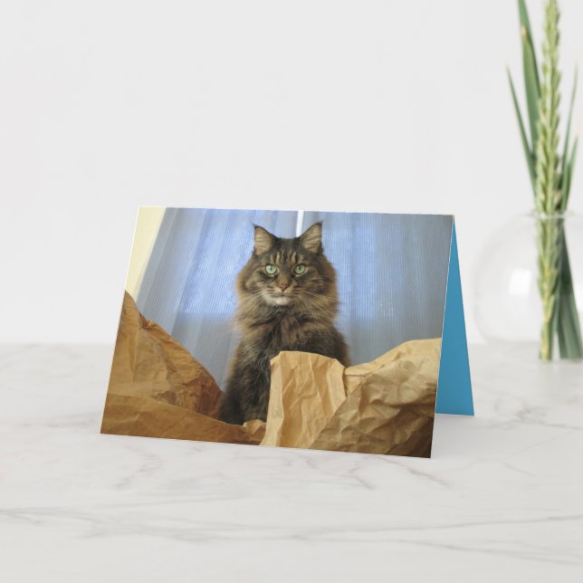 Carte personnalisable de chaton Maine Coon mignon (Devant)