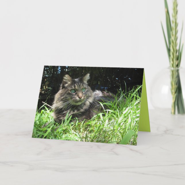 Carte personnalisable de chaton mignon Maine Coon (Devant)