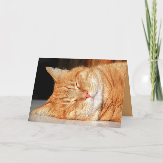 Carte personnalisable de chaton mignon orange (Devant)