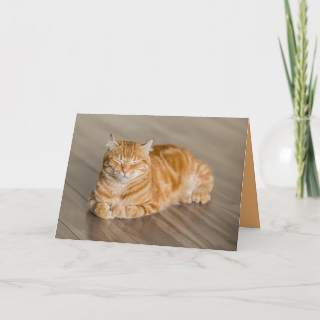 Carte personnalisable de chaton orange mignon (Devant)