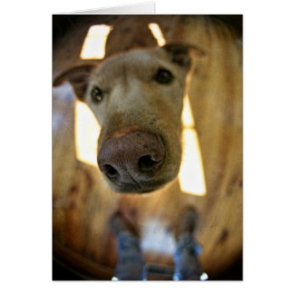 Carte personnalisable de noeud de chien