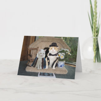 Carte Personnalisable Funny Chats Anniversaire Classy Co