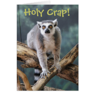 Carte personnalisable "Holy Crap" pour n'importe q