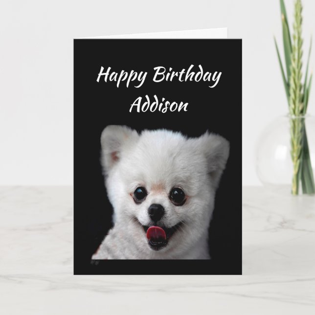 Carte Personnalisé Nom Fun Anniversaire mignon Happy Chi (Devant)