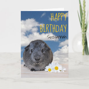 Cadeaux Anniversaire De Cobaye Zazzle Fr