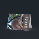 Carte Personnalisé "Sonne Squily to Me"<br><div class="desc">Voici un écureuil avec une attitude ! Personnalisez cette carte audacieuse avec votre propre texte à l'intérieur comme à l'extérieur. Parfait pour les amoureux des écureuils dans votre vie !</div>