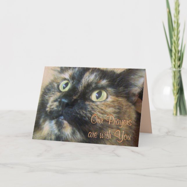 Carte Personnaliser des prières de Tazzie (Devant)
