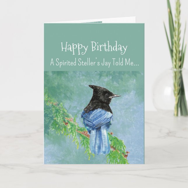 Carte Personnalité Jay Stellaire Anniversaire Fun Bird (Devant)