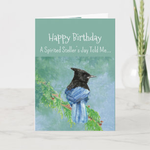 Carte Personnalité Jay Stellaire Anniversaire Fun Bird
