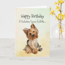 Personnalité Yorkie Anniversaire Animaux amusants