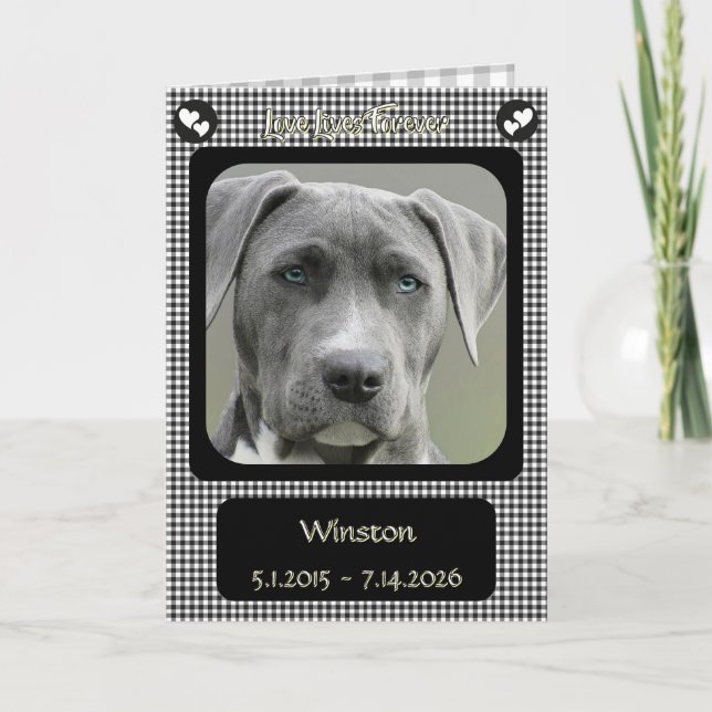 Carte Perte à carreaux noirs et blancs de chien de compa (Devant)
