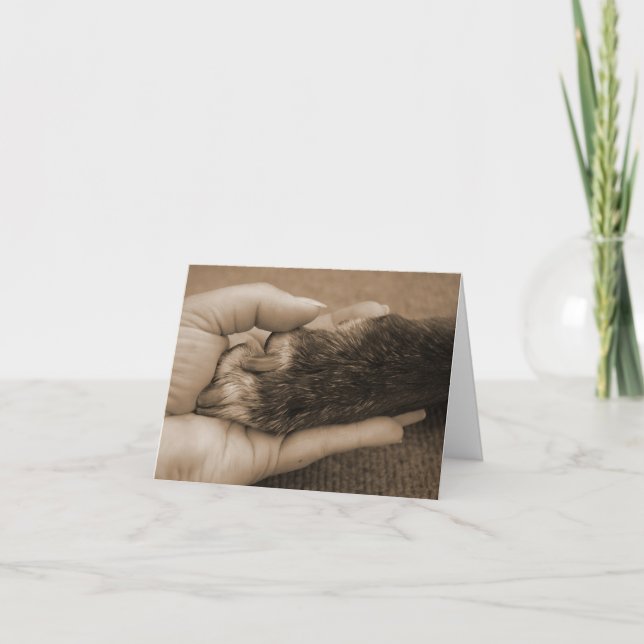 Carte Perte d'animal familier - contact d'un ange (Devant)